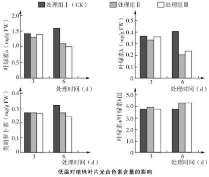 光合作用暗反應(yīng)階段對(duì)光的間接依賴性探究